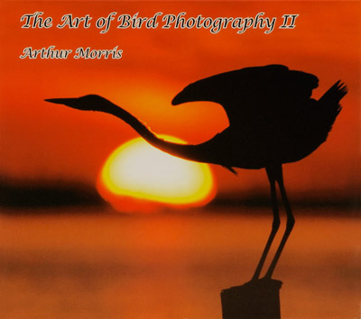 of Digital Photography and photography pictures. of Digital Photography and