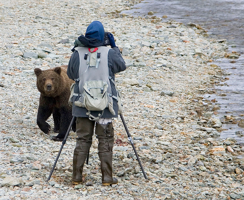 artie-friendly-bear-8x10.jpg