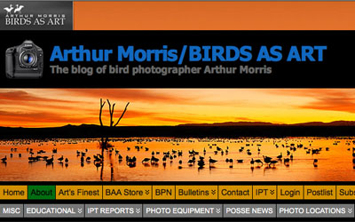 Featured image of post Birdsofmalcontent We are journalists activists researchers